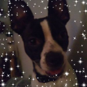 Meet your Posher, Elaine